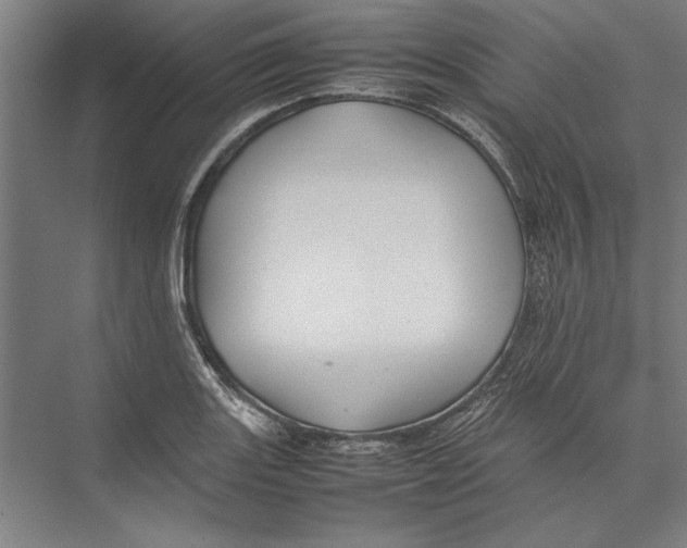 X0000075381131200610061832