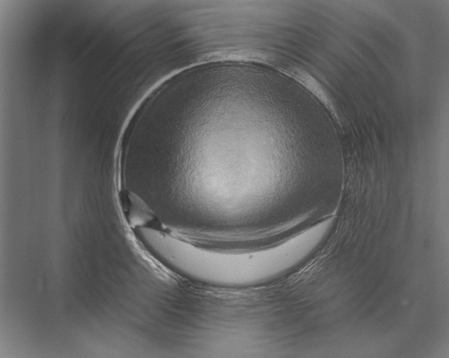 X0000075381132200610061832