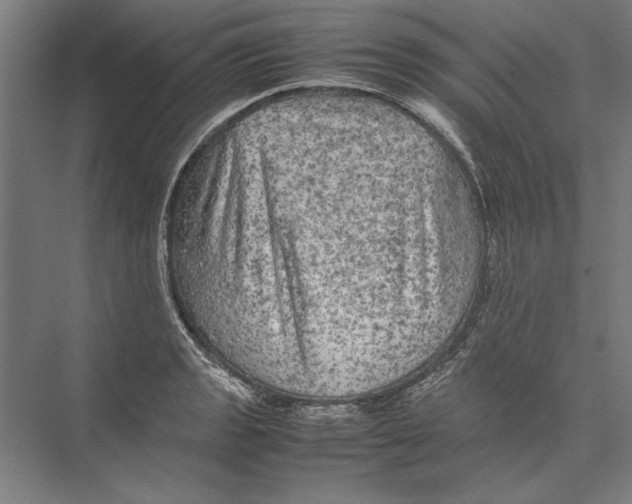 X0000075381133200610061832