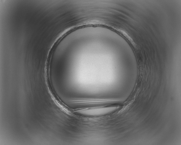 X0000075381134200610061832