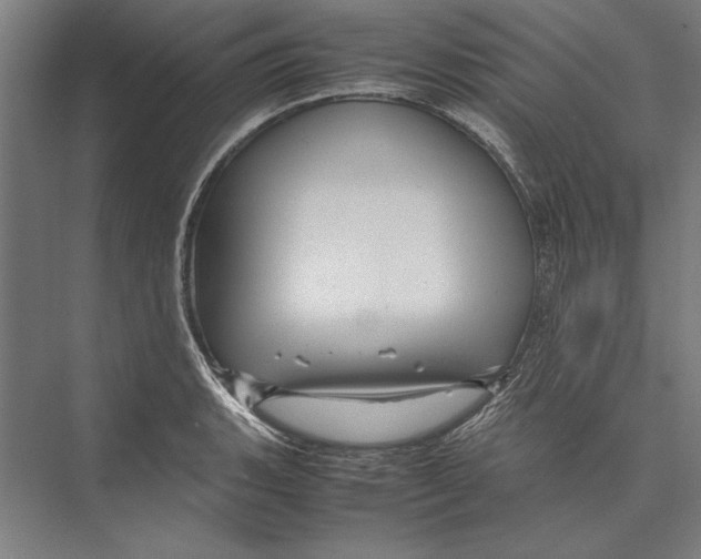 X0000075381135200610061832