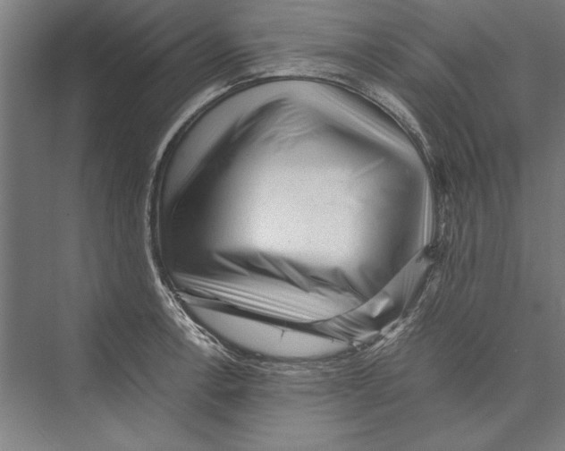 X0000075381138200610061832