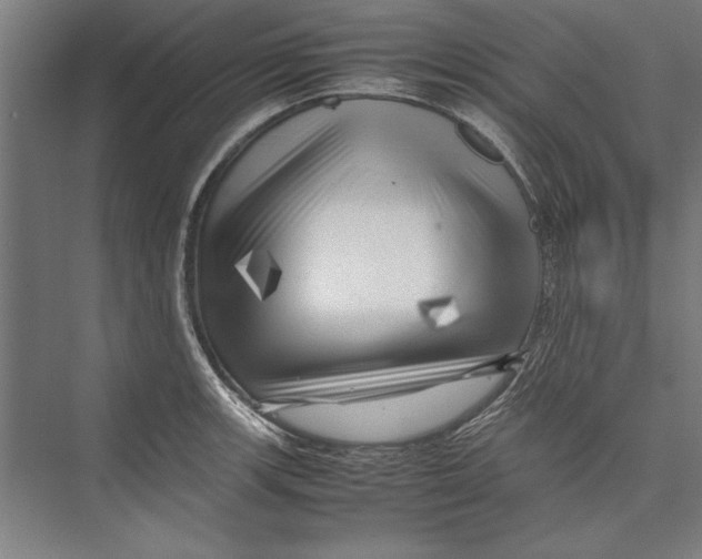 X0000075381139200610061832