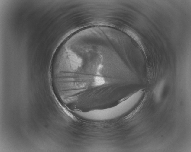 X0000075381141200610061832