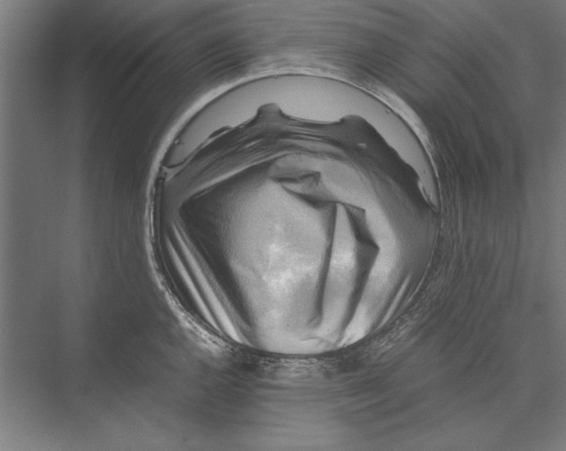 X0000075381144200610061832