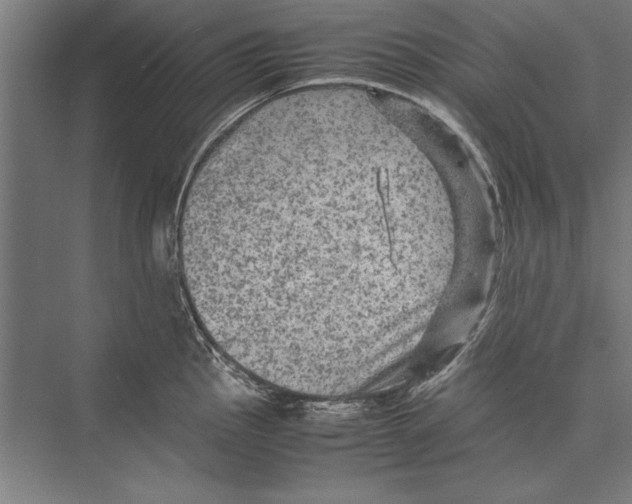 X0000075381145200610061832