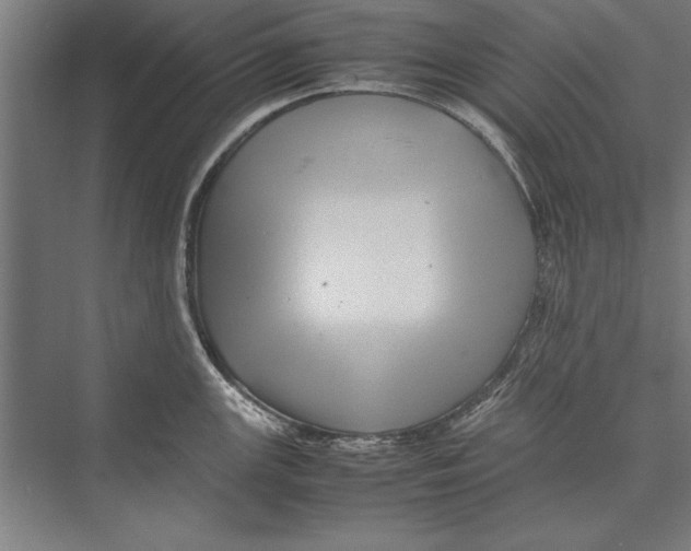 X0000075381147200610061832