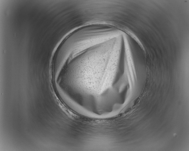 X0000075381148200610061832