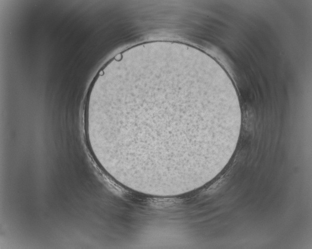 X0000075381150200610061832