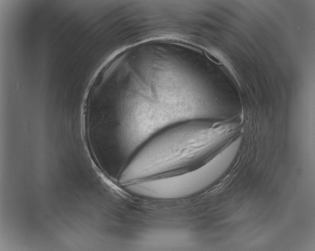 X0000075381151200610061832