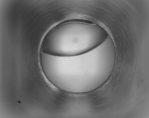 X0000075381152200610061832