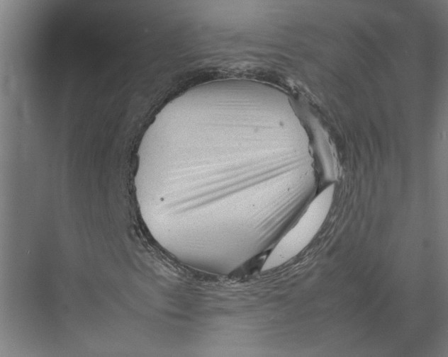 X0000075381153200610061831