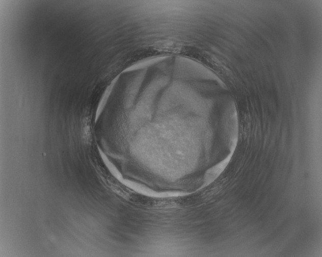 X0000075381154200610061831