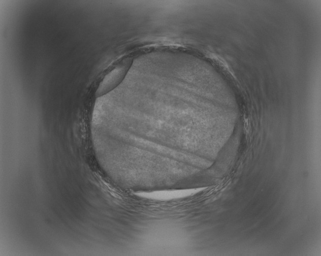 X0000075381159200610061831