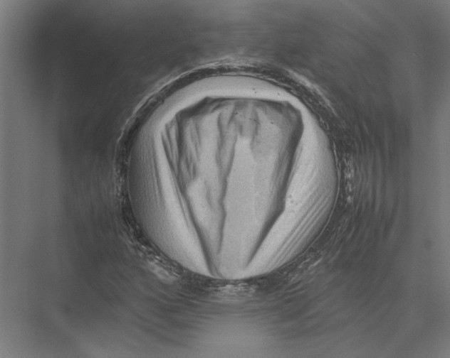 X0000075381160200610061831