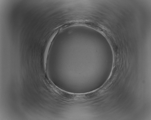 X0000075381161200610061831