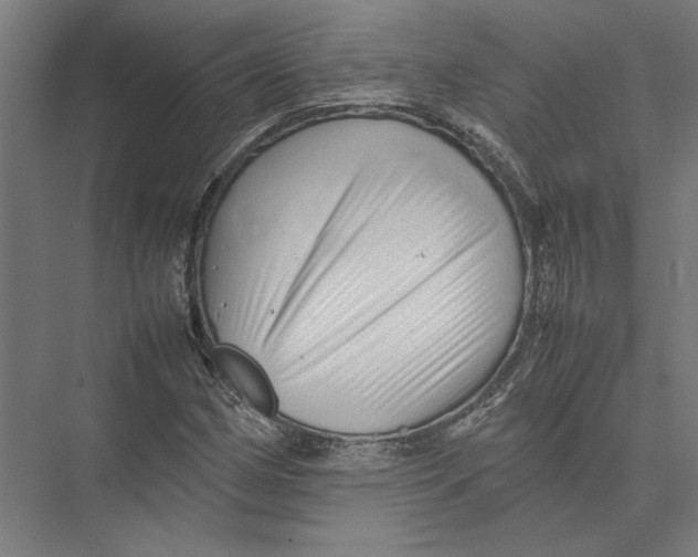 X0000075381162200610061831