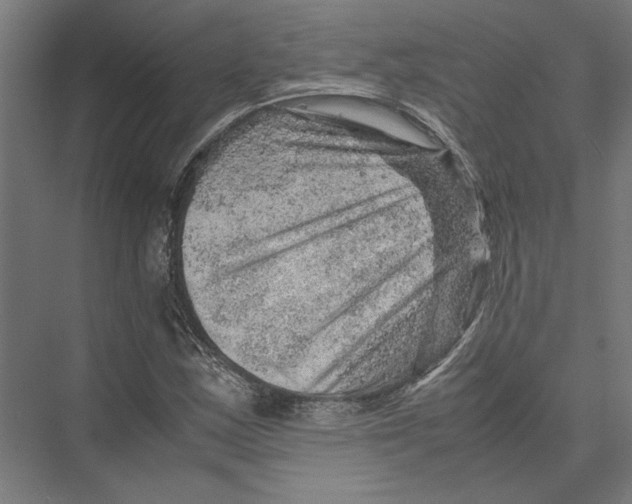 X0000075381163200610061831