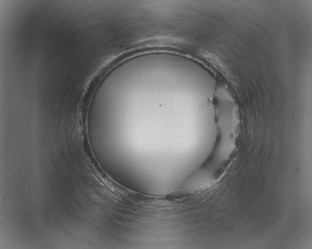 X0000075381164200610061831