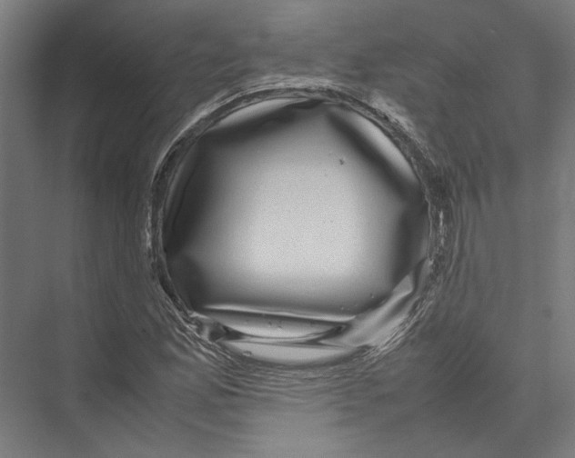 X0000075381165200610061831