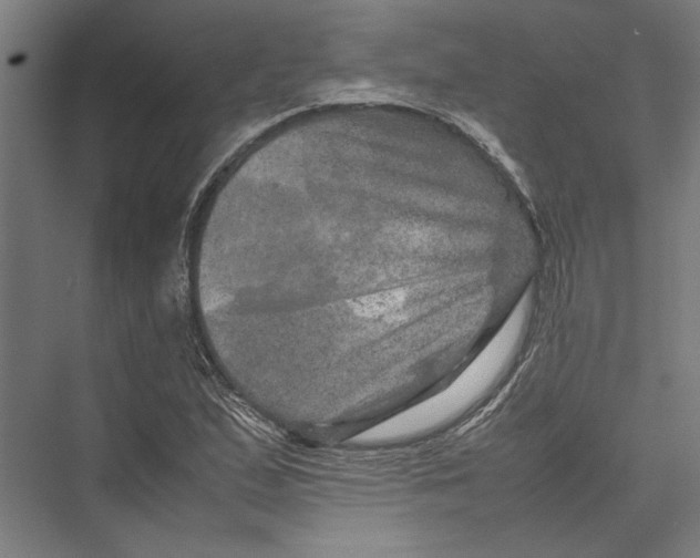 X0000075381167200610061831