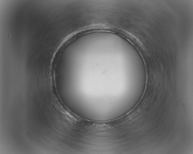 X0000075381168200610061831