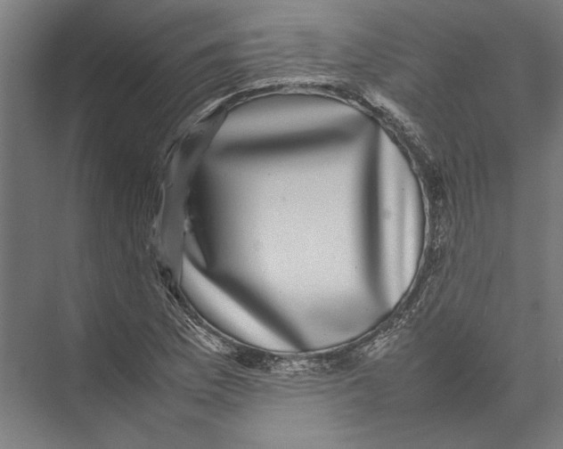 X0000075381169200610061831