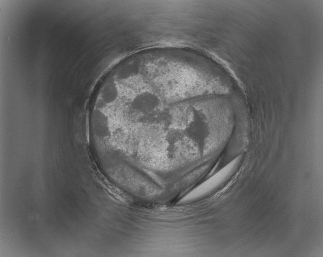 X0000075381171200610061831