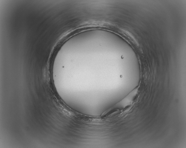 X0000075381172200610061831