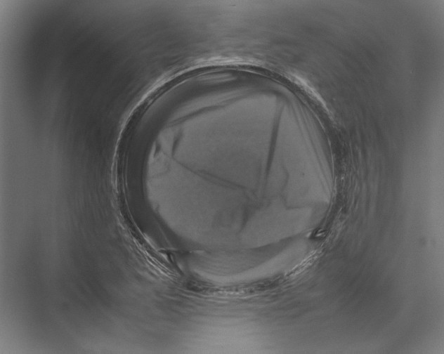 X0000075381173200610061831