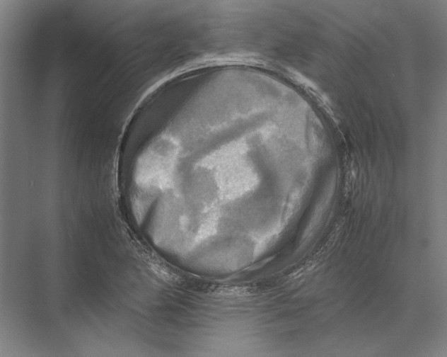 X0000075381174200610061831