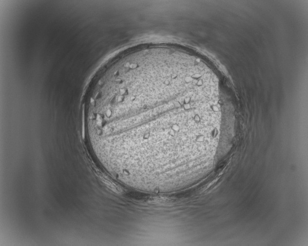 X0000075381175200610061831