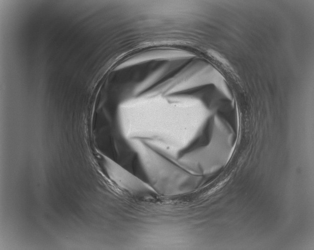 X0000075381177200610061831