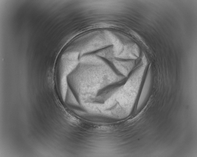 X0000075381178200610061831