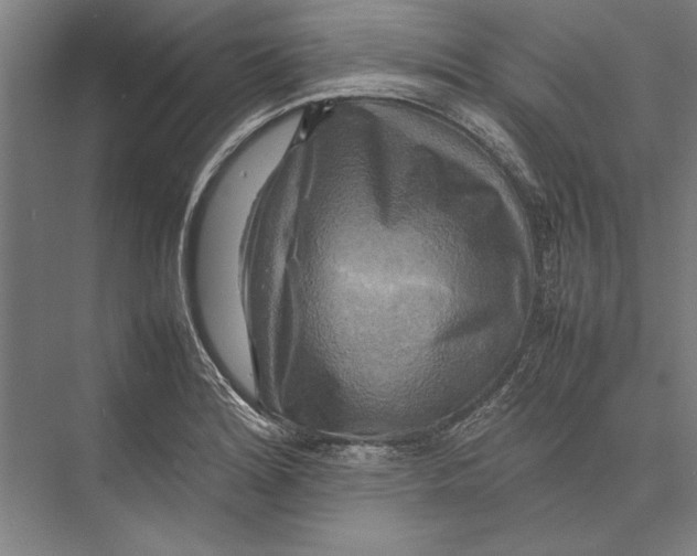 X0000075381180200610061831