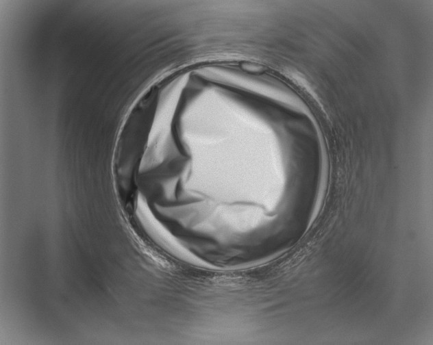 X0000075381181200610061831