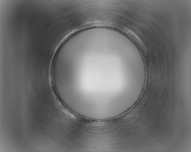 X0000075381182200610061831