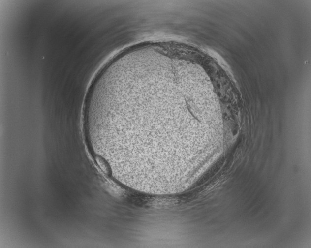 X0000075381183200610061831