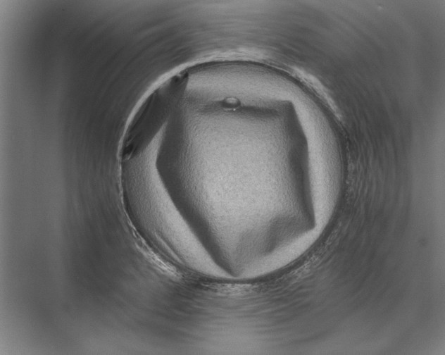 X0000075381184200610061831