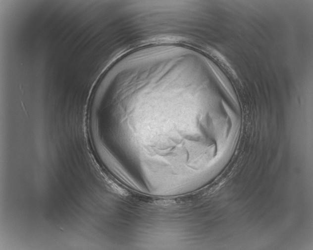 X0000075381186200610061831