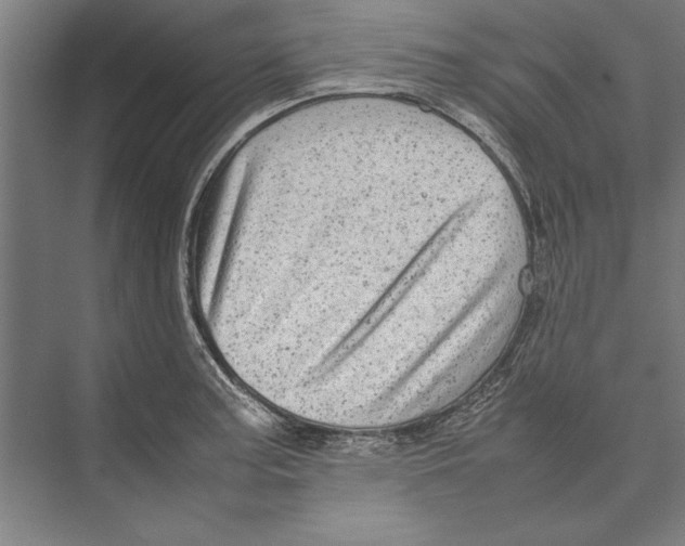 X0000075381187200610061831