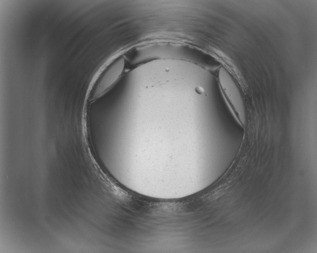 X0000075381188200610061831