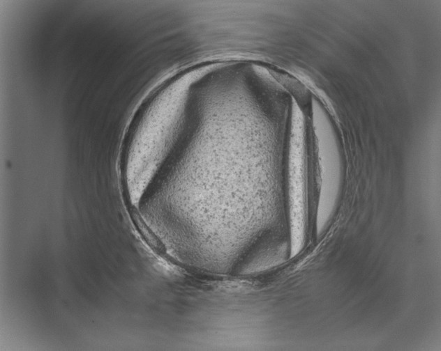 X0000075381189200610061831