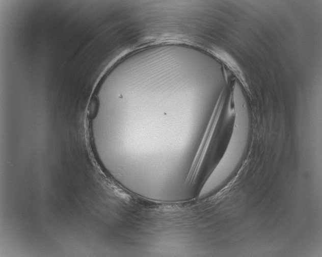 X0000075381190200610061831