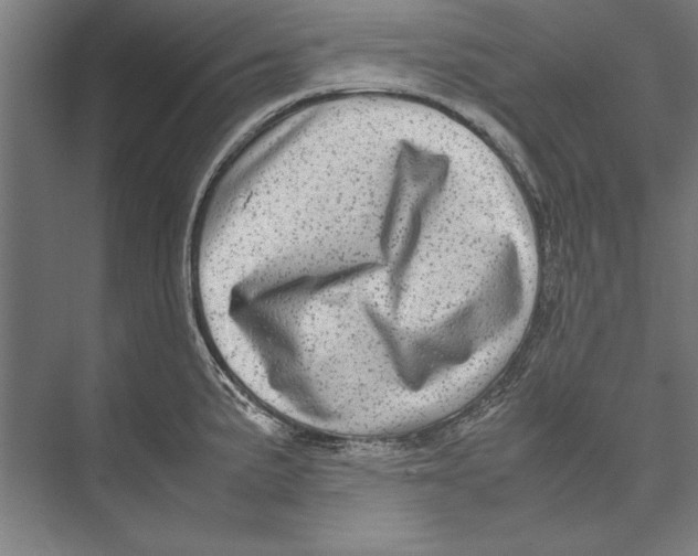 X0000075381191200610061831