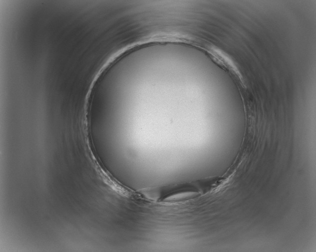 X0000075381192200610061831