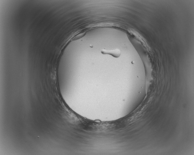 X0000075381193200610061831