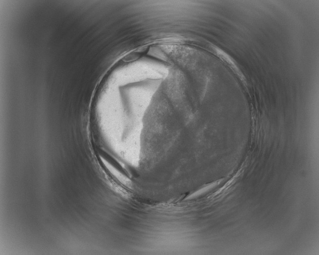 X0000075381194200610061831