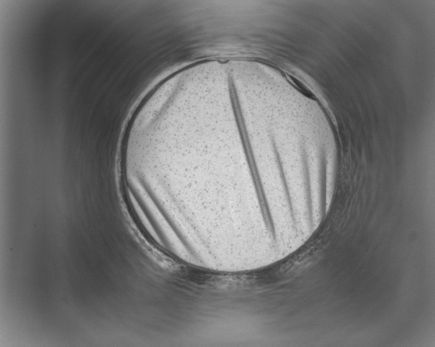 X0000075381195200610061831