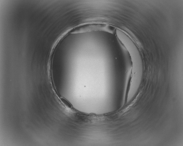 X0000075381196200610061831